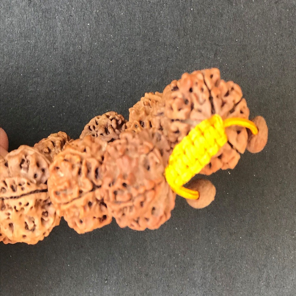 1586767802_5_Mukhi_Rudraksha_Braclete_2.jpg