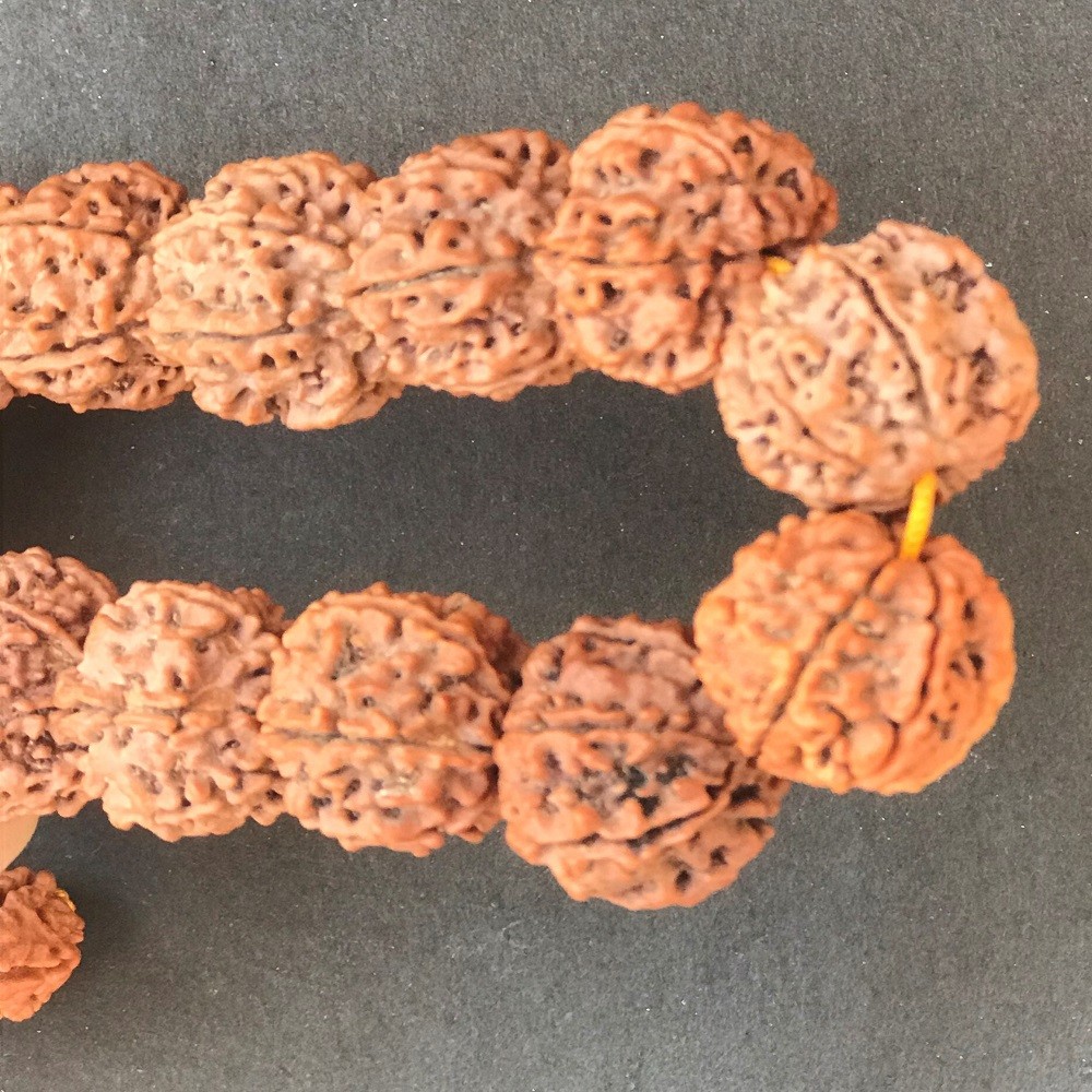 1586768754_6_Mukhi_Rudraksha_Bracelet_2.jpg