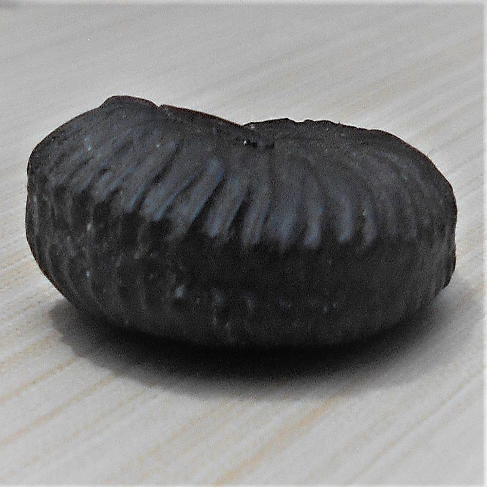 1588839748_Navi_Sudarshan_Chakra_Shaligram_1.jpg