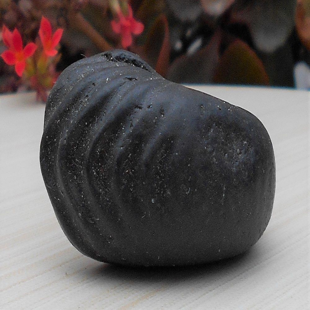 1588866315_Navi_Chakra_Shaligram_1.jpg