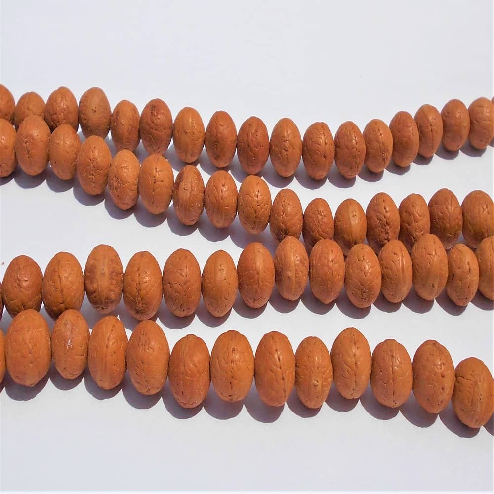 Light Brown Round Bodhi Seeds Natural Buddha Chitta Mala at Rs 11000/piece  in Nagpur