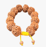 5 Face Rudraksha Bracelet