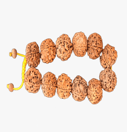 5 Mukhi Bracelet