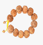 5 Mukhi Rudraksha Bracelet