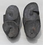 Double Open Sudarshan Chakra Shaligram