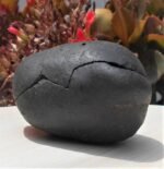 Double Open Sudarshan Chakra Shaligrama