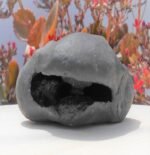 Lakshmi Narayan Shaligram