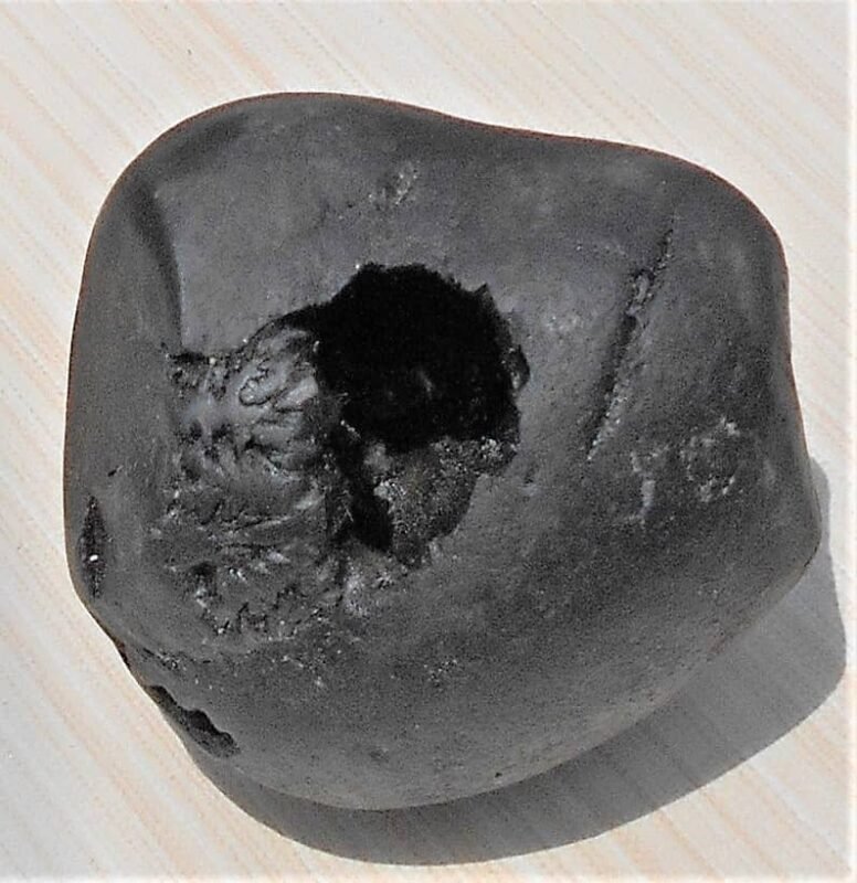 Narashimha Ammonite