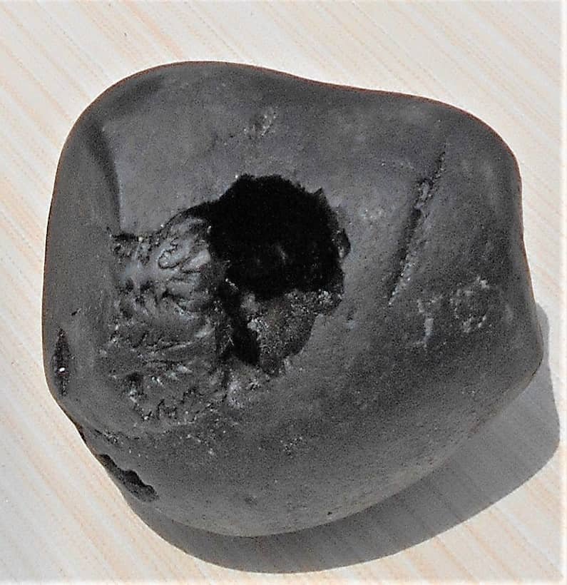 Narashimha Ammonite