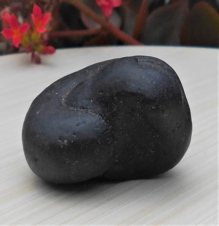 Navi Chakra Fossilized Stone