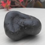 Navi Chakra Shaligram