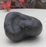 Navi Chakra Shaligram