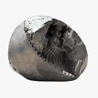 Shaligram Categories