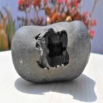 Sudarshan Chakra Laxmi Narayan Shaligram