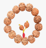 6 Mukhi Bracelet