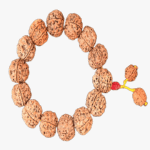 6 Mukhi Rudraksha Bracelet