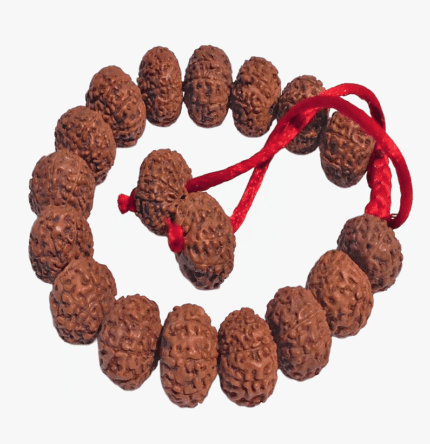 7 Mukhi Rudraksha Bracelet