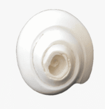 Blowing Conch Shell Mouth