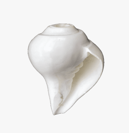 Blowing Shankh