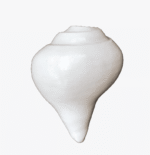Sounding Conch shell Shankh
