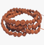 2 Mukhi Indonesian Mala