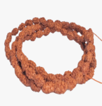 2 Mukhi Relationship Rudraksha Mala