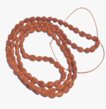 2 Mukhi Rudraksha Mala