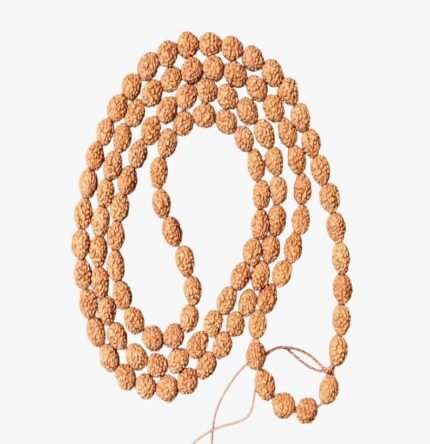 4 Mukhi Rudraksha Mala