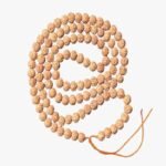 6 Mukhi Rudraksha Mala
