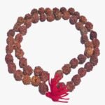 Nepali 3 Face Rudraksha Rosary