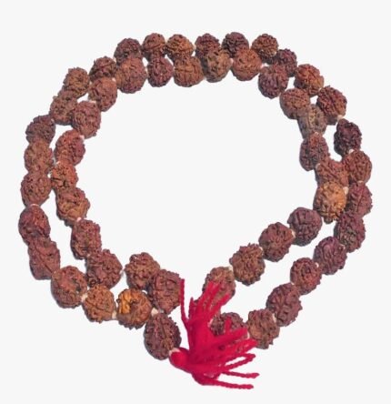 Nepali 3 Face Rudraksha Rosary