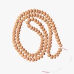 10 Mukhi Rudraksha Mala