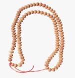 9 Mukhi Rudraksha