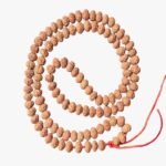 9 Mukhi Rudraksha Mala