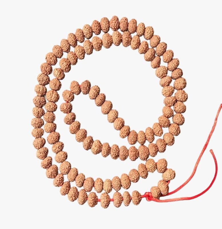 9 Mukhi Rudraksha Mala