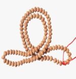 Nau Mukhi Rudraksha