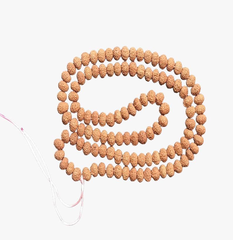 Ten Face Rudraksha Rosary